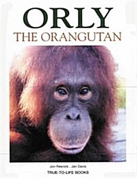 Orly the Orangutan (Paperback)