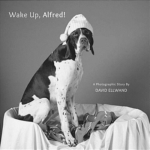 Wake Up, Alfred! : A Photographic Story (Board Book)