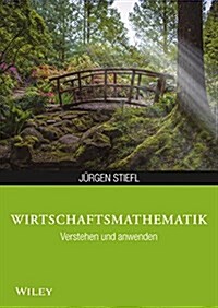 Wirtschaftsmathematik Anwenden und Verstehen (Paperback)