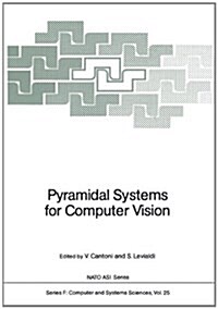 Pyramidal Systems for Computer Vision (Hardcover)