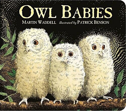 Owl Babies (Board Book)