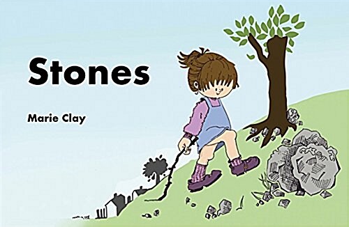 Stones (Paperback)