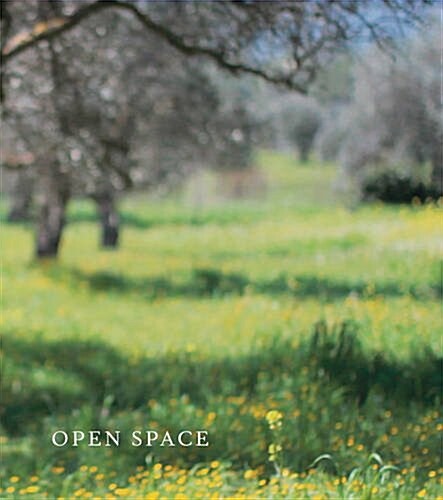 Open Space (Paperback)