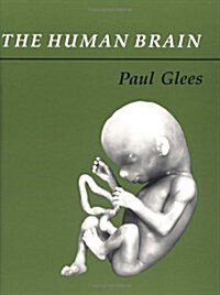 The Human Brain (Hardcover)