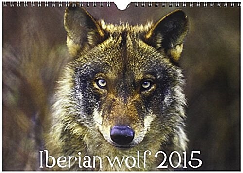 Iberian Wolf 2015 : Discover the Beauty of the Iberian Wolf, a Subspecies That Lives in Spain and Portugal (Calendar)
