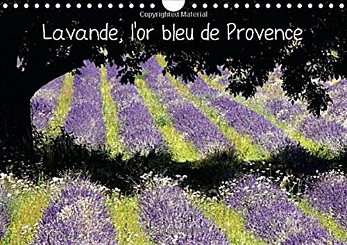 Lavande, Lor Bleu de Provence : La Lavande, Symbole de la Provence, Qui Colore et Parfume les Hauts Plateaux Provencaux de la Drome, du Vaucluse, et  (Calendar, 2 Rev ed)