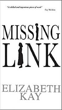 Missing Link (Paperback)