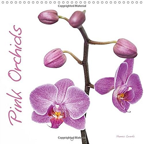 Pink Orchids : Wonderful Orchids in Pink and Violet. (Calendar)