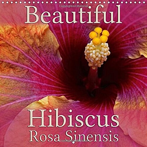 Beautiful Hibiscus Rosa Sinensis : Closeup Portraits of Wonderful Tropical Hibiscus (Calendar)