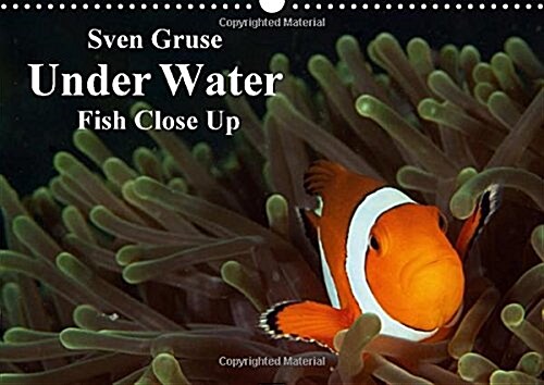 Sven Gruse Under Water - Fish Close Up : Enjoy the Impressive Underwater World (Calendar)