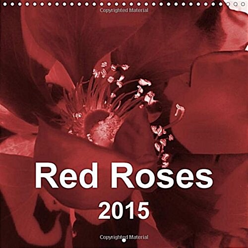 Red Roses : Floral Abstractions in Red (Calendar)