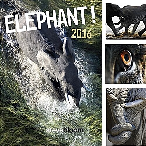 Elephant 2016 (Calendar)