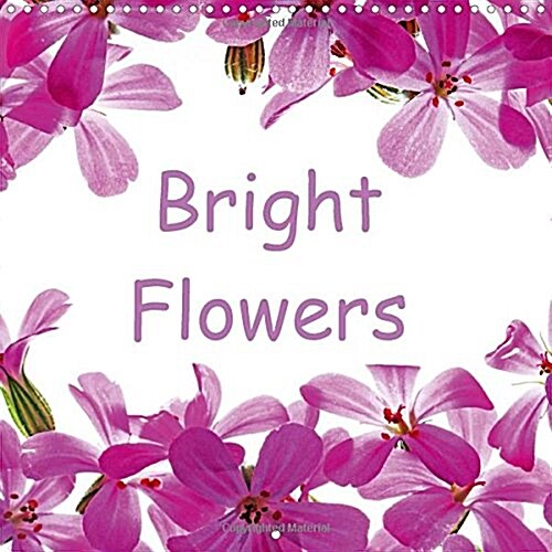 Bright Flowers : Colorful Wildflowers from Forest Floors and Meadows (Calendar)