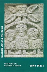 Invisible Among the Ruins: Field Notes of a Canadian in Ireland: Field Notes of a Canadian in Ireland (Paperback)