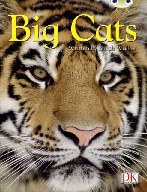 Bc Nf Brown B/3b Big Cats (Paperback)