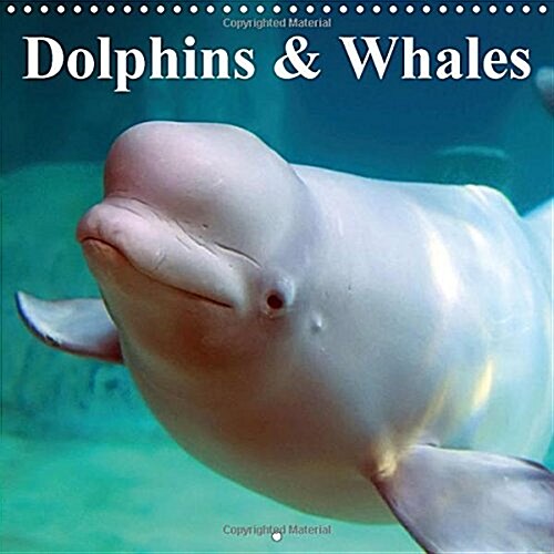 Dolphins & Whales : The Wonderful World of Whales and Dolphins. (Calendar)
