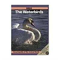 BIRDS WATERBIRDS (Hardcover)