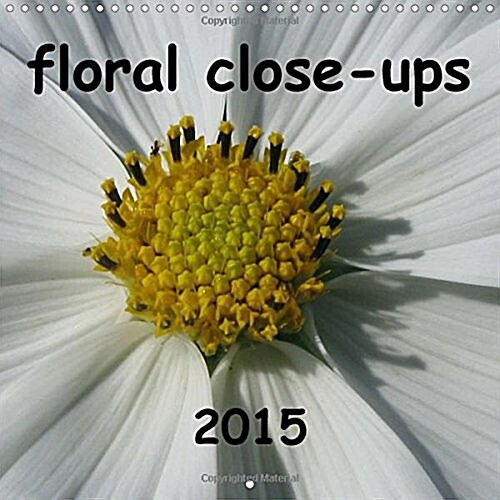 Floral Close-Ups : Flowers in Detail (Calendar)