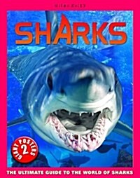 Sharks Poster Book (Spiral Bound)