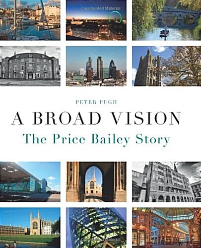 A Broad Vision : The Price Bailey Story (Hardcover)
