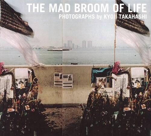 Mad Broom of Life (Hardcover)