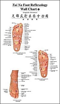 Tui Na Foot Reflexology Wall Chart (Chart, 1st, Wall)