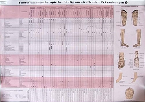 Foot Reflexology for Common Disorders (Chart, 1st)