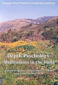 Depth Psychology: Meditations in the Field (Paperback)