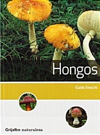 Hongos/ Mushrooms (Paperback, Translation)
