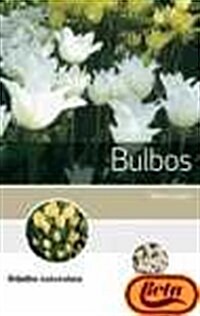 Bulbos / Bulb (Paperback)