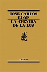 La  Avenida De La Luz/ The Street of Light (Paperback)