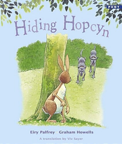 Hiding Hopcyn (Paperback)