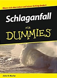 Schlaganfall Fur Dummies (Paperback)