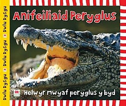 Anifeiliaid Peryglus (Hardcover)