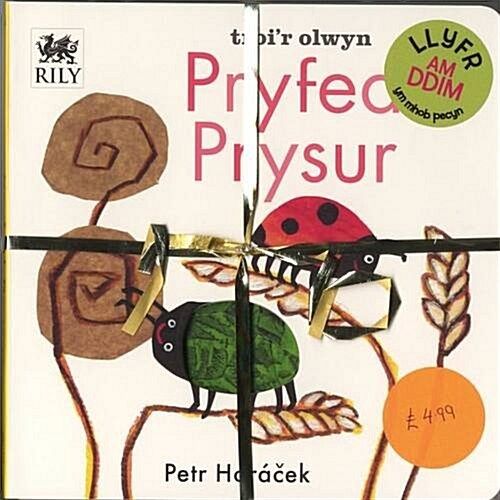 Pecyn Nos Da a Pryfed Prysur (Hardcover)