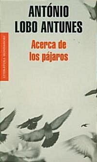 Acerca de los pajaros/ An Explanation of the Birds (Paperback)