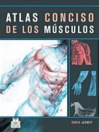 Atlas conciso de los musculos/ The Concise Atlas Of Muscles (Paperback)