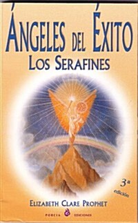 Angeles Del Exito/angels of the Success (Paperback, 2nd)