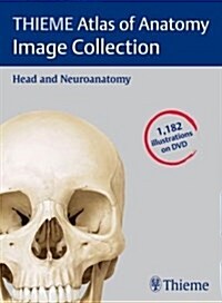 Thieme Atlas of Anatomy Image Collection : Head and Neuroanatomy (DVD-ROM)