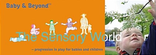 Sensory World : Progression in Play for Babies and Children (Paperback)