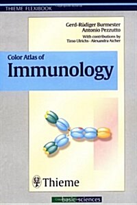 Color Atlas of Immunology (Paperback, illustrated ed)