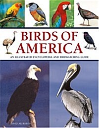 Birds of America : An Illustrated Encyclopedia and Birdwatching Guide (Paperback)