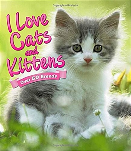 I Love: Cats and Kittens (Paperback)