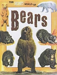 Bears (Hardcover)