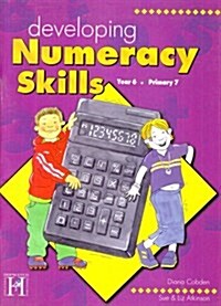 Developing Numeracy Skills (Paperback)