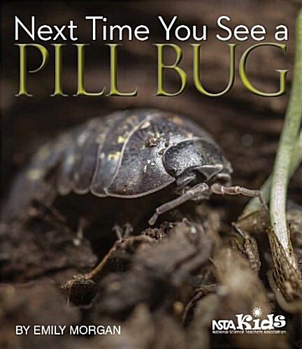 Next Time You See a Pill Bug (Paperback)