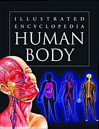 Human Body (Hardcover)
