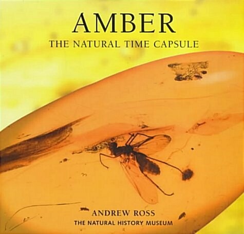 Amber : The Natural Time Capsule (Paperback)