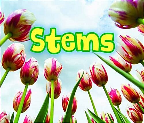 All About Stems (Paperback)