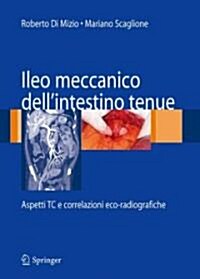 Ileo Meccanico Dellintestino Tenue: Aspetti Tc E Correlazioni Eco-Radiografiche (Hardcover)